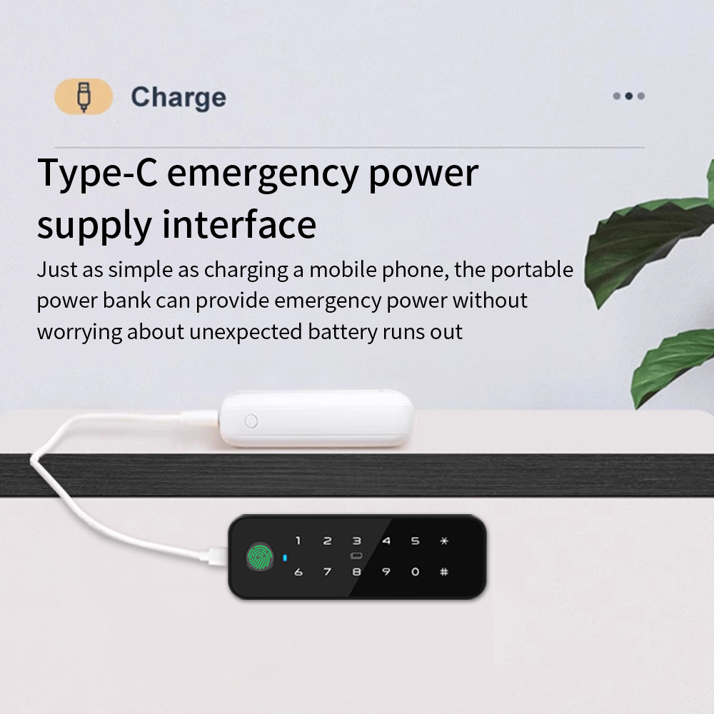 Tuya Bluetooth Akıllı Ahşap Do - Furniture Hardware Products incelemesi ve fiyatı